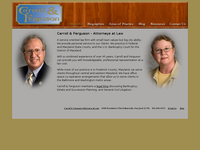 MARY ANN FERGUSON website screenshot