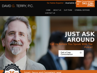 DAVID TERRY website screenshot