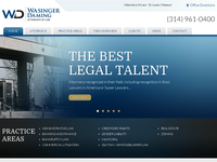DAVID WASINGER website screenshot