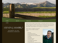 STEVEN SHAPIRO website screenshot