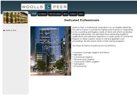 PAUL WOOLLS website screenshot